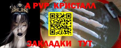 спиды Кингисепп