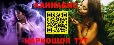 спиды Кингисепп