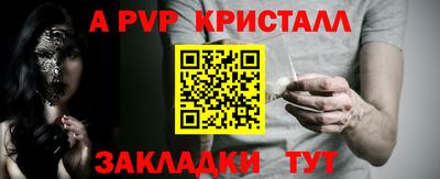 спиды Кингисепп