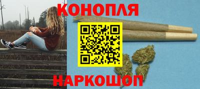 спиды Кингисепп