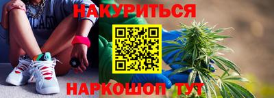 спиды Кингисепп