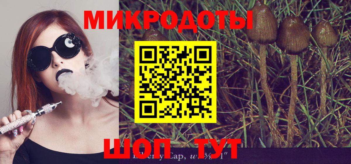 Галлюциногенные грибы мухоморы Коломна