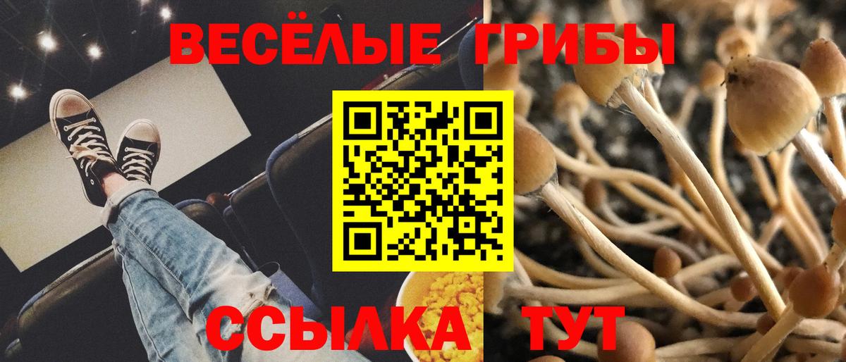 Коломна  что такое   Вход с VPN  Галлюциногенные грибы Magic Shrooms 